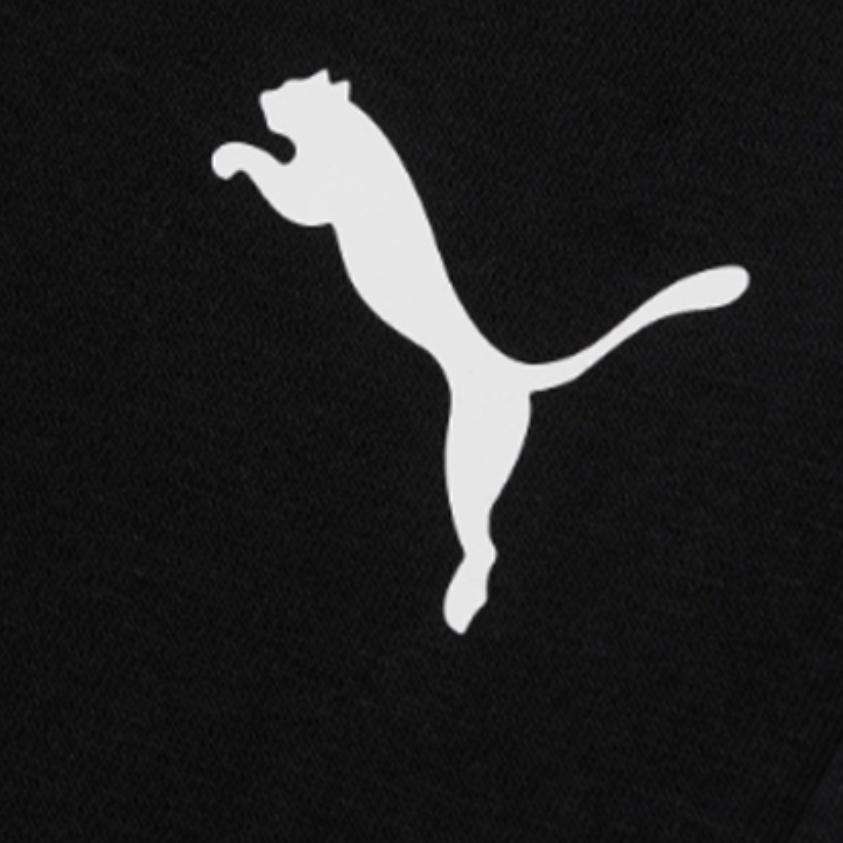 Puma Современные спортивные спортивные штаны с завязками на шнурке, мужские низы, черные 844172-01