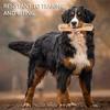 Sturdy Stick Dog Toy Bite-Resistant Pet Relieve Anxiety Toy Pet Dog Supplies
