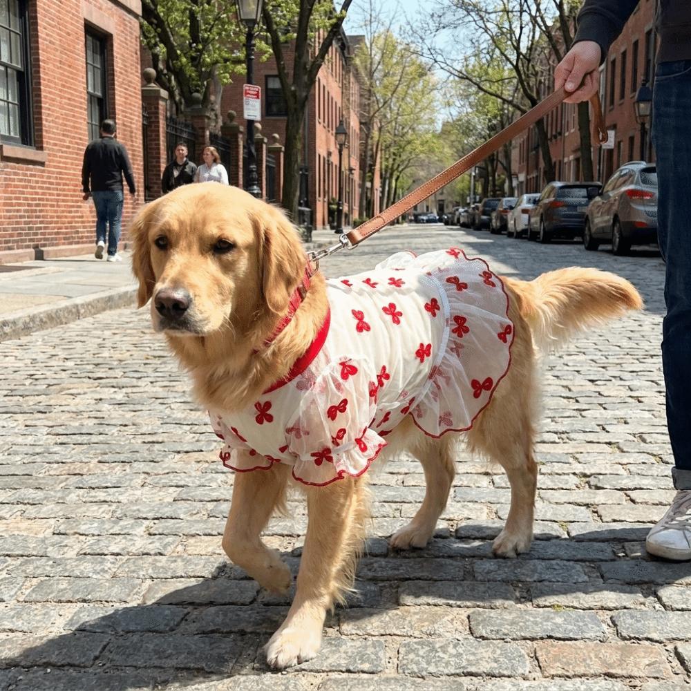 Cozy Dog Sunscreen Clothes Ruffle Trim Puppy Mesh Skirt Sun Protection Clothes Small Medium Dogs