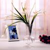 Nordic Creative Transparent Vases Striped Glass Vases Hydroponic Planter for Home Decor Plant Lover Gift Flower Table Vase