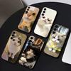 Забавный чехол для телефона с изображением домашних кошек для Samsung Galaxy A73, A72, A71, A70, A53, A52, A51, Другие Мягкий черный чехол