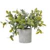 Box Artificial Plant