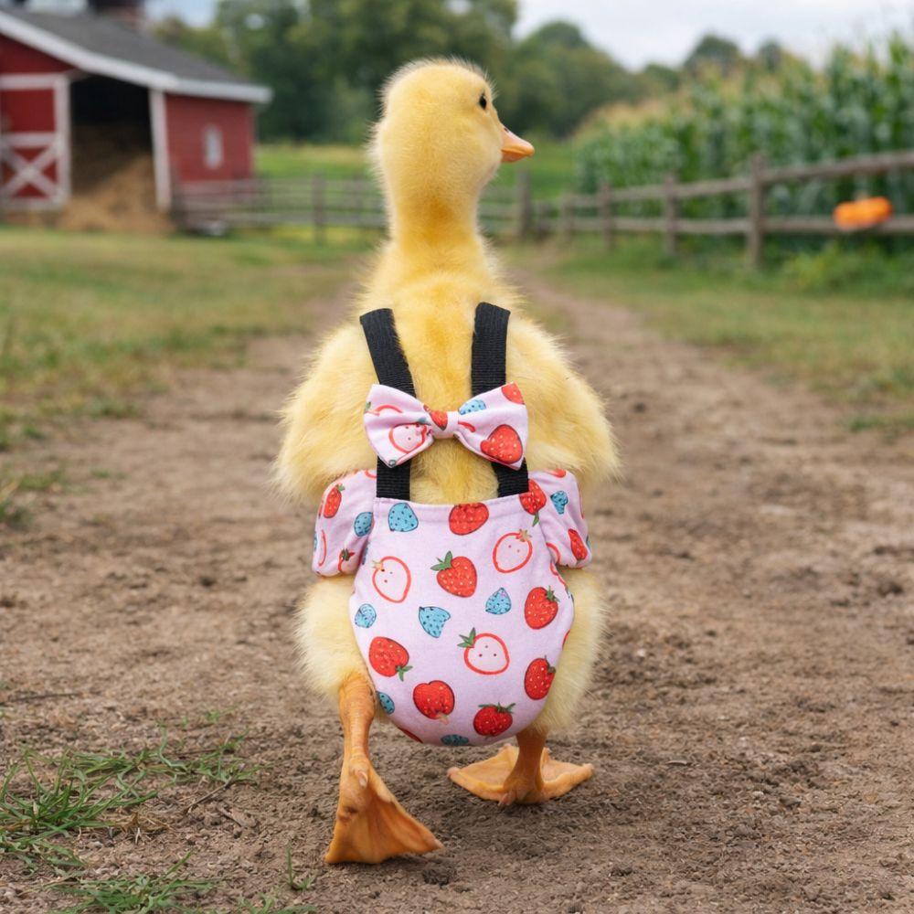 Adjustable Duck Diapers Bowknot Design Poultry Nappy Fruits Pattern Flight Suits Poultry Care