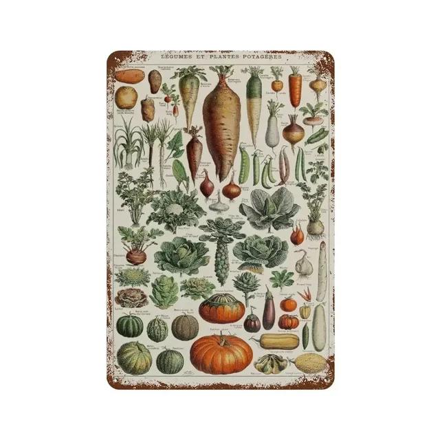 Vintage Butterfly Insect Plant Collection Chart Metal Tin Sign Retro Aesthetic Art Decor for Living Room Wall Home Decor Poster