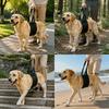 Convenient Handle Dog Support Recovery Sling Breathable Pet Rehabilitation Harness  Injury Recovery