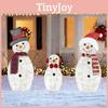 Snowman 2d Inserted Led Lights For Christmas Decor For Courtyard Parties Terrace