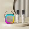 Bluetooth Audio Mini Karaoke Machine with 1/2 Wireless Microphones Karaoke Microphone  Adult
