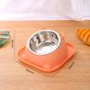 Новая миска для питомца Миска для кошки Наклонная миска для кошачьего корма Миска для собаки с защитой от переворачивания Миска для собаки Защита от муравьев Защита от проливания Миска для еды Кормушка для питомца
