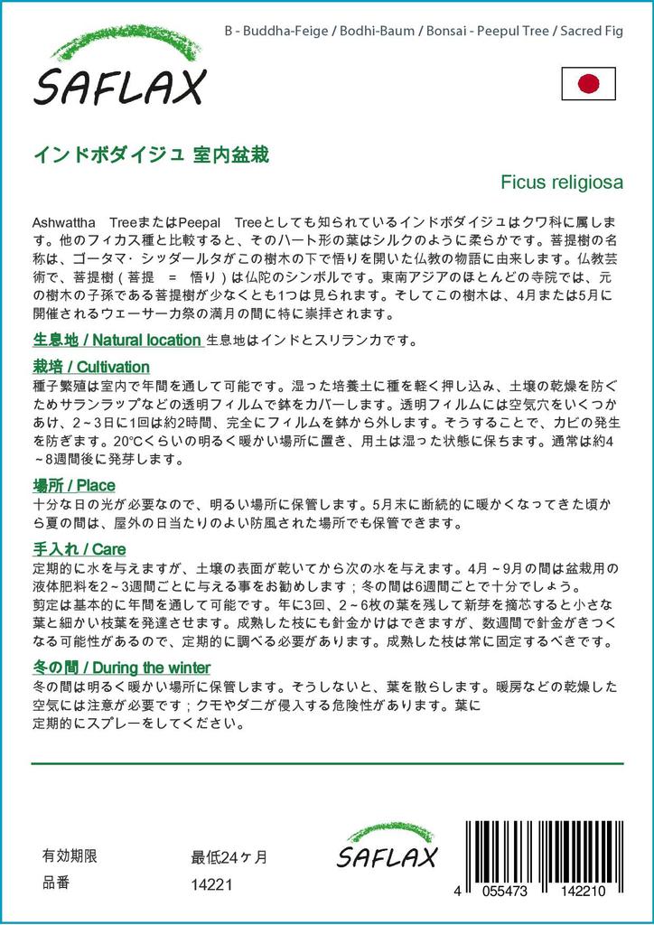 SAFLAX Garden in the Bag - Бонсай - Дерево Пипул / Священный инжир - 100 семян - С субстратом в подходящем пакете - Ficus religiosa