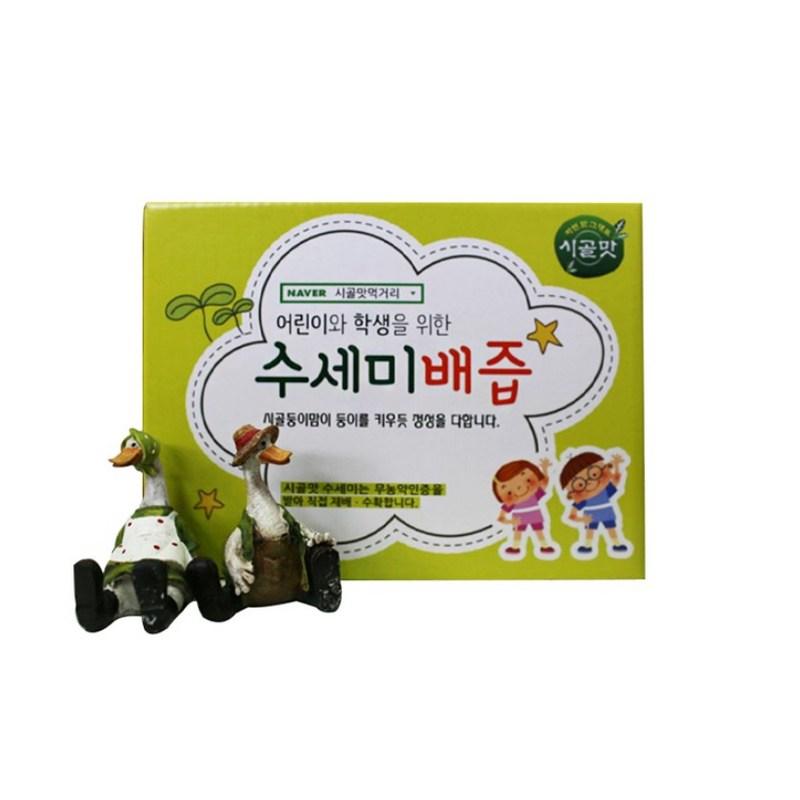Сок из люфы и груши Country taste food для детей и студентов, 120 мл, 50 шт.