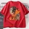 Funny Rock Hyrax Fire Meme Tee Shirt Men Women Stupid T-shirt Ugly Unhinged Tshirt Summer Cotton Opossum Raccoon Tops Oversized
