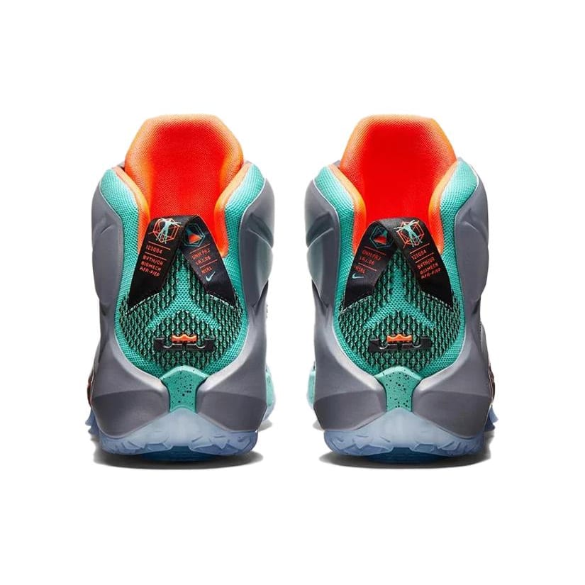 Nike Lebron 12 "NSRL" 684593-301