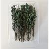 Handmade Mixed Dried Fruits & Flowers DIY Pack for Arranging & Decorating