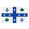 Drapeau - Acadiens - Androscoggin - 60 X 90 Cm - Polyester - Impression Recto/verso