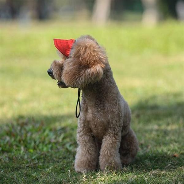 Открытый путешествия собака кошка шляпа от солнца бейсболка для домашних животных