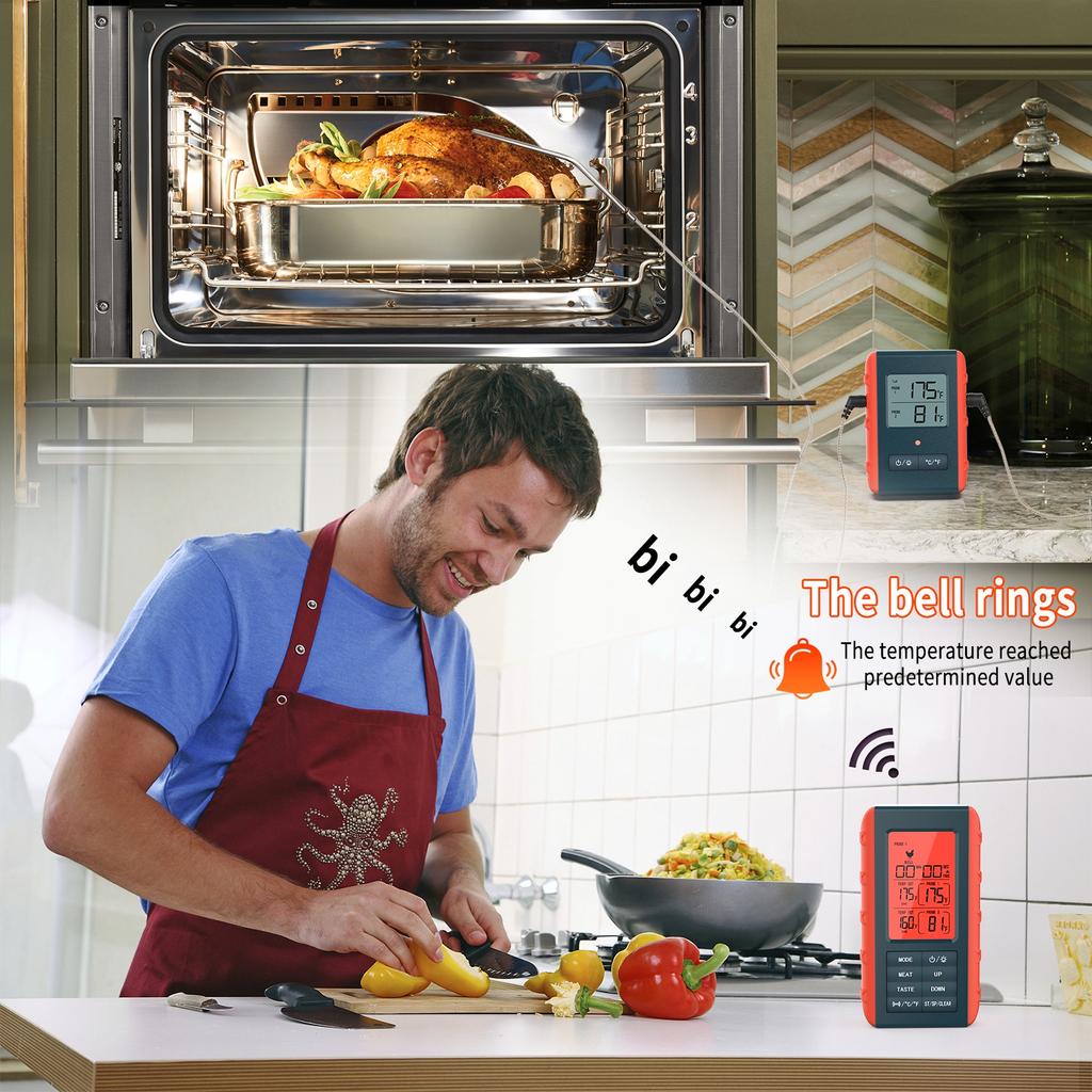 Беспроводной термометр для мяса с 2 штангами для приготовления пищи на гриле, цифровой термометр для мяса