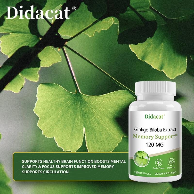 Ginkgo Biloba Extract 120 Mg Dietary Supplement, 120 Capsules Per Bottle