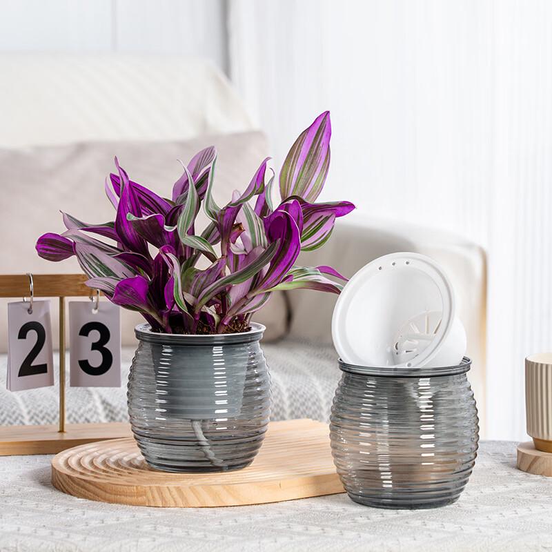 MOJY Self-Watering Spiral Desktop Flower Pot