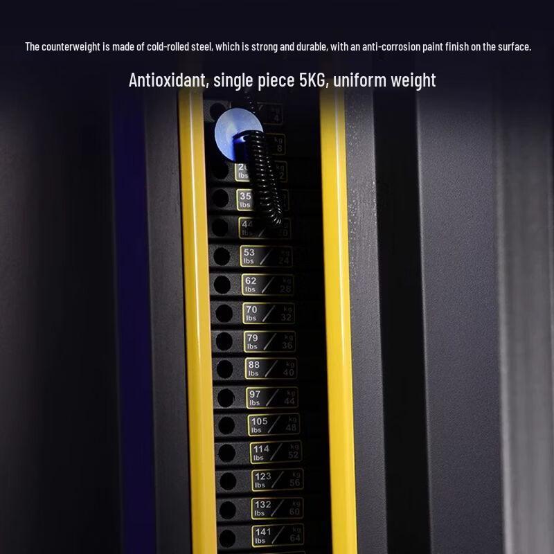 Commercial Gym Strength Training Equipment Series