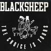 12-дюймовая пластинка BLACK SHEEP - Choice Is Yours MR032 MERCURY 1991 Япония Рэп и хип-хоп/R&B Б/у