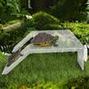 Double Ladder Turtle Climbing Platform with Suction Cup Turtle Basking Terrace  Home