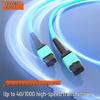FHTCEN MPO-MPO Multimode Fiber Optic Patch Cable