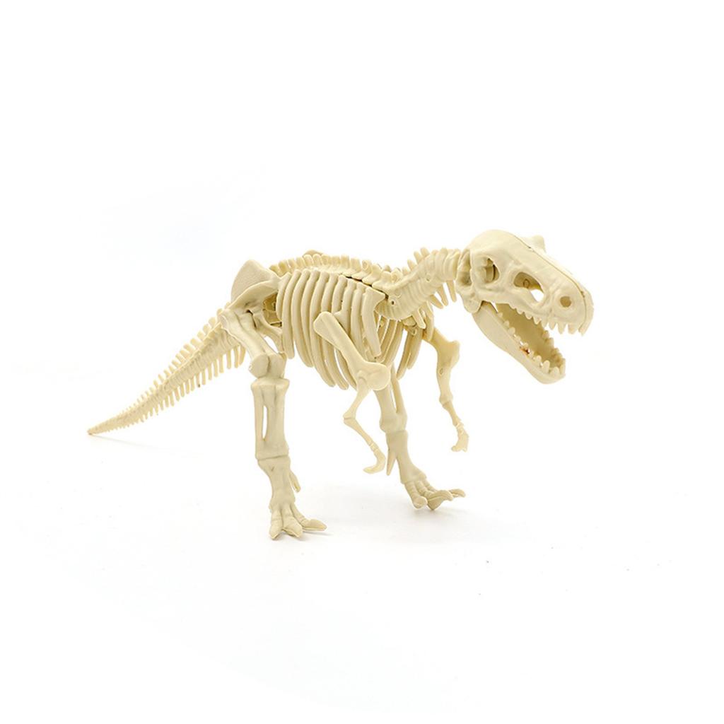 Скелет динозавра DIY Игрушки Развивающие пазлы Набор моделей для детей старше 6 лет