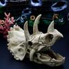 Resin Simulated Dinosaur Skull Decorative Animals Skull Decoration Fish Hiding House  Fish Tank