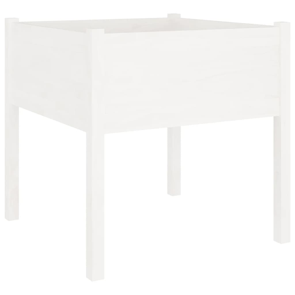 Planters 2 pcs White 70 x 70 x 70 cm Solid Pine Wood