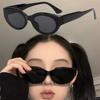 Fashion Cat Eye Sunglasses Women Hip-hop Oval Designer Black Glasses Sun Glasses for Female Mirror UV400 Eyewear Shades