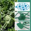 10/5/1Pcs Watermelon Support Holder Round Plant Supports Garden Vegetable Harvest Basket Protector Climbing Rack Garden Supplies