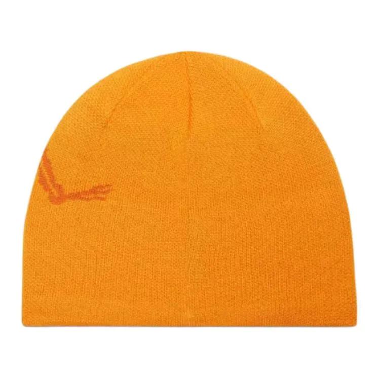Arc'teryx Polyester Beanies Unisex Multicolor (Unisex) Beanies L08023800