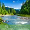 PHATOIL 30 мл чистые эфирные масла терапевтического класса для ароматерапии Уход за волосами и кожей Роза, лаванда, ваниль, жасмин, ароматические масла для диффузора