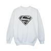 DC Comics Girls Superman Logo Sketch Sweatshirt