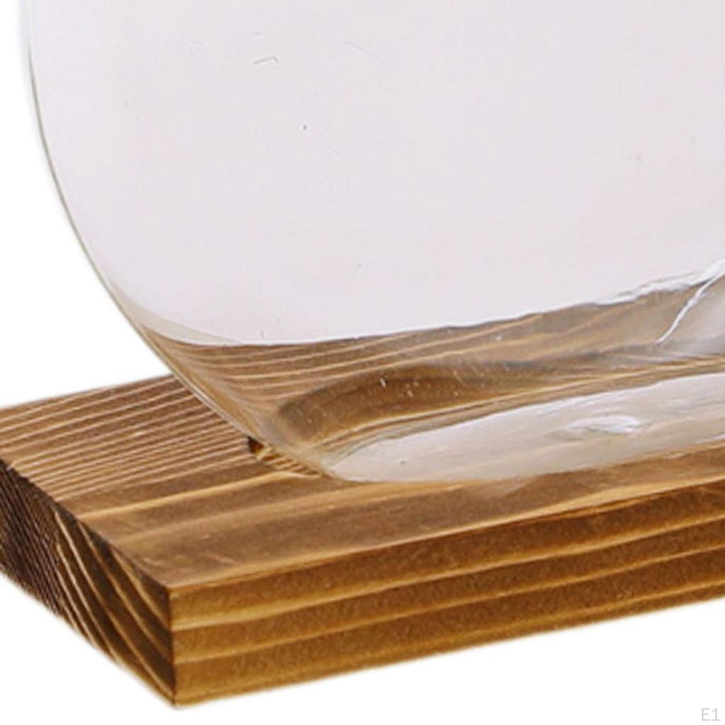 Ваза для цветов, стеклянный плантатор, станция размножения террариумных растений с деревянной подставкой для офиса