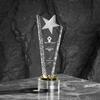 Светящийся трофей из массива дерева и кристалла - Индивидуальный award для выдающегося сотрудника или команды по продажам