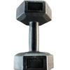 TLXT Eco-Friendly Hexagonal Dumbbells