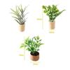 1:12 Dollhouse Miniature Mini Potted Plant Dollhouse  Fairy Garden Miniature Flower Plant Diy Dollhouse Accessories