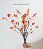 Maple Leaf Dried Flower Bouquet: Autumn Leaves & Tree Trunk Arrangement for Wabi-Sabi Style Home Décor