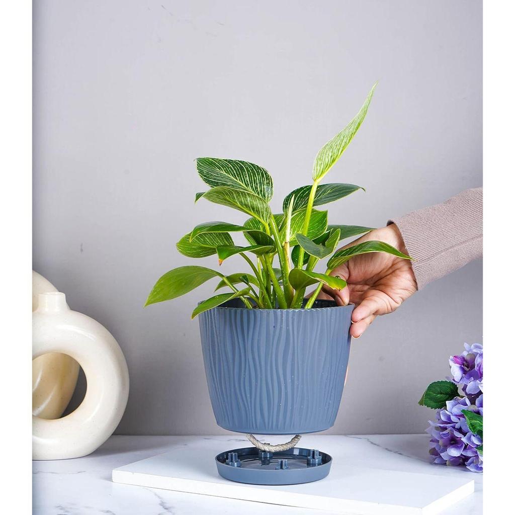 Set of 4 Self Watering Pots for Home, Decor & Garden | Flower Pots, Planters for Indoor Plants | Plastic Pots for Living Room