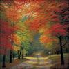 Super Autumn Leaves Cotton Cross Stitch Kit 14ct 82x82cm Super Big Cross Stitch Kit Big, 400x400stitch,