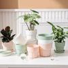 Nordic Plastic Succulents Flower Pots Green Plants Pot Vase Flower Pots Planter with Tray for Garden Home Desktop Decor Pot