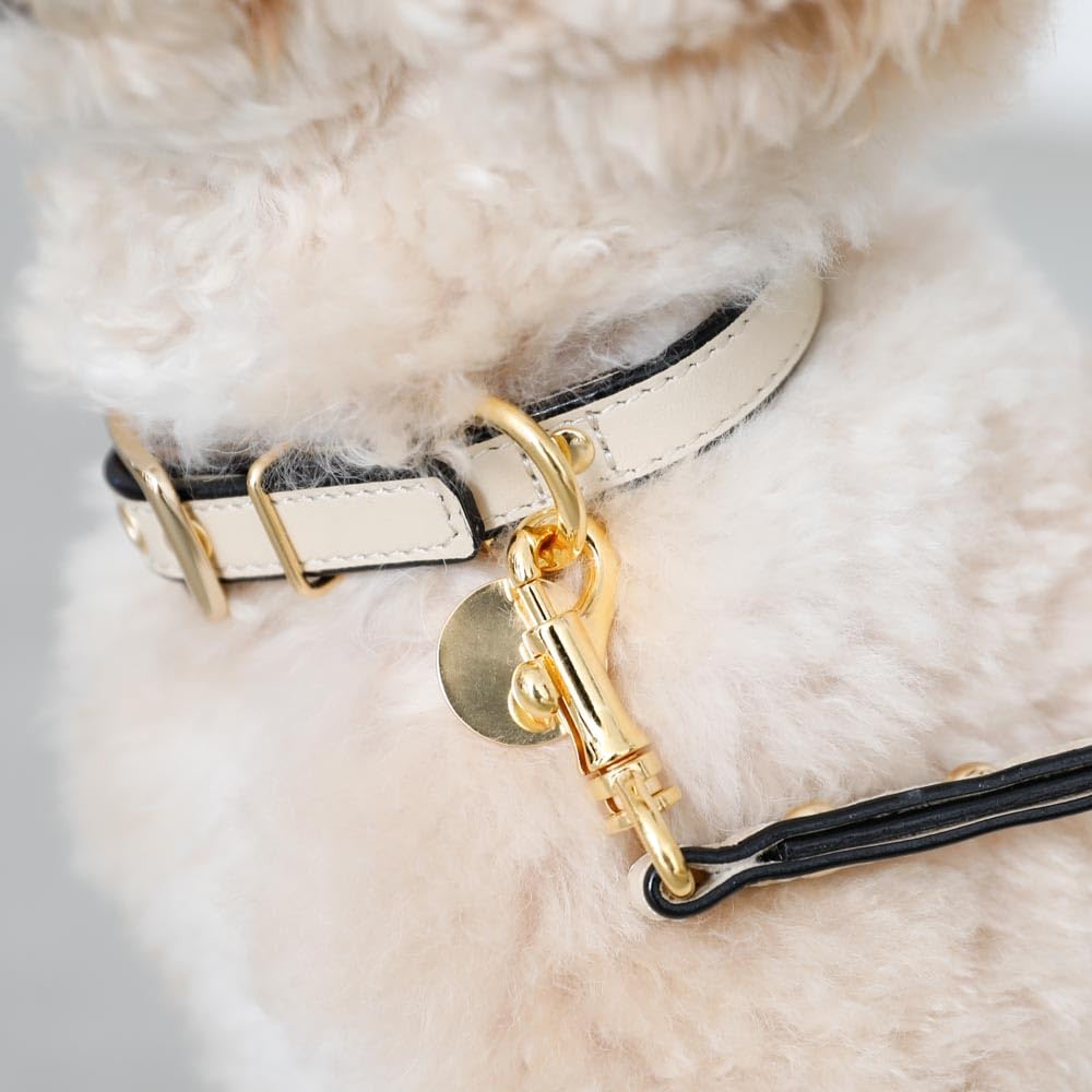 Кожаный поводок для собак мелких и средних пород, цвет мокко и коровья кожа для прогулок и выездов, Monchéri [Двухцветный поводок] (БЕСПЛАТНО Слоновая кость)