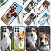 Чехол для телефона Samsung Galaxy M32 M52 M12 M13 M33 M23 M53 M15 M55 M31 M51 M14 M34 M54 M20 с изображением собаки Джек-рассел-терьер