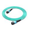 Shengwei High-Speed Data Center MPO Fiber Optic Patch Cable