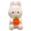 Doll Rabbit Plush Birthday Gift Rabbit Toy Persimmon Luck Animal Decoration
