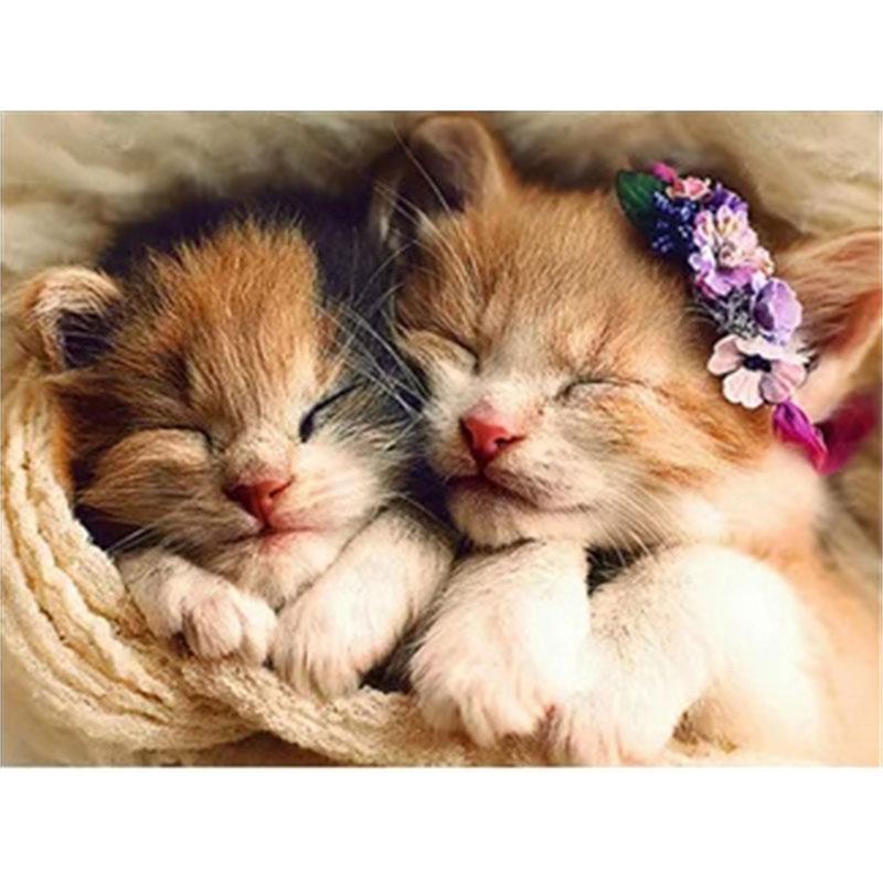 DIY Алмазная картина Котенок Набор для вышивки крестом Мозаичное искусство Алмазная картина Полный круг/квадрат Алмазное украшение для дома