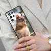 Cute Animal Squirrel Cell Phone Case for Samsung Galaxy S26 Ultra S25 S24 S23 S22 S21 S20 Note10 Cover