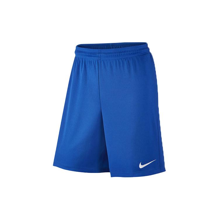 Nike Повседневные шорты мужские синие средние 725903-463