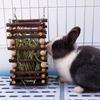 Wooden Rabbit Grass Food Feeder Small Animal Grass Feeding Frame Rabbit Cage Accessories